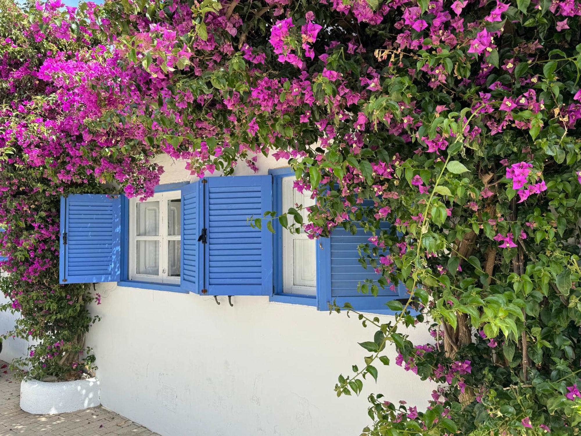 Casa Mellis Aguamarga Appartement Agua Amarga  Buitenkant foto